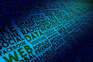 milanAPP下载入口官网-中国篮球青训体系课程标准化建设及质量保障体系,《中国青少年篮球训练教学大纲》